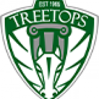 treetop int. logo